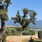 De Standing Et Vue Vecchio *