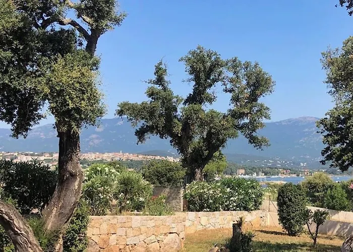 De Standing Et Vue Vecchio *