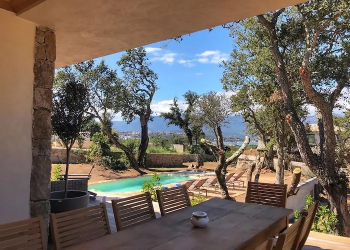 De Standing Et Vue Vecchio